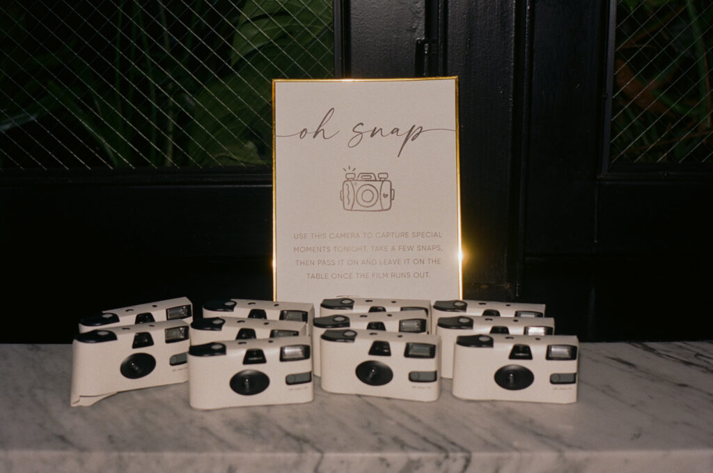 Disposable camera set-up