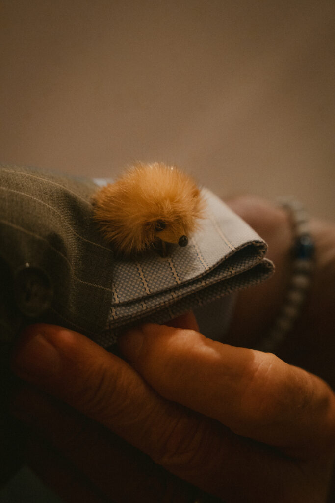 Close-up Detail of Hedgehog Cuff Link