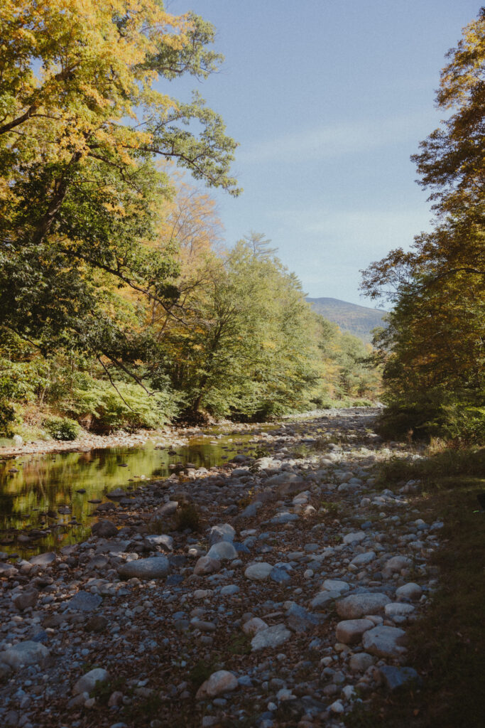 Creek beside the ceremony space at a rustic white mountains wedding venue