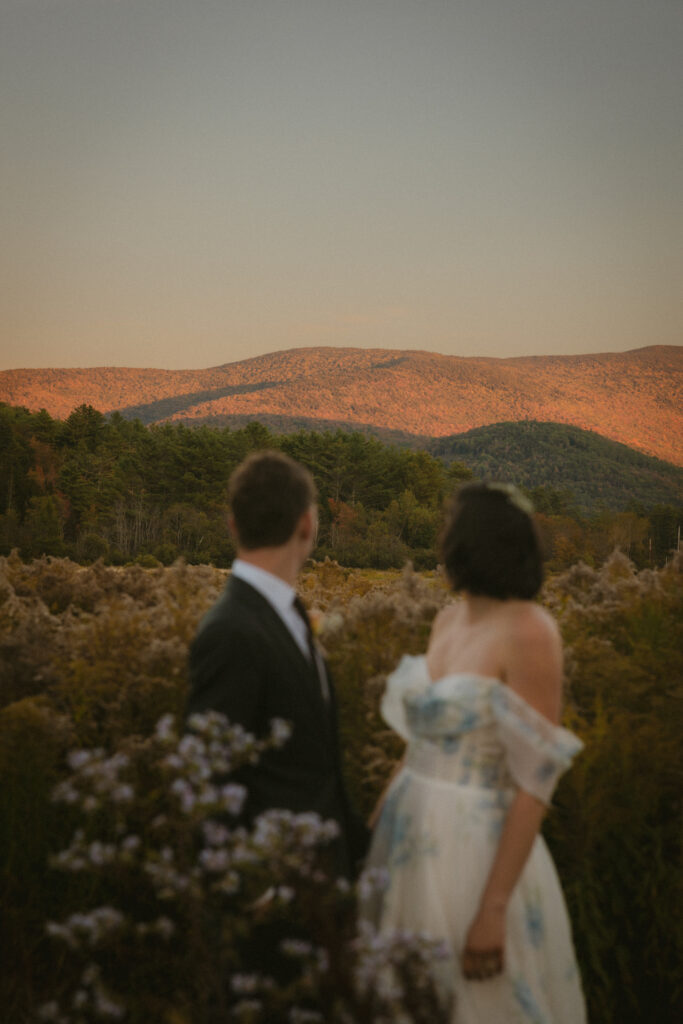 Bride and groom standing in a meadow looking back toward the mountains