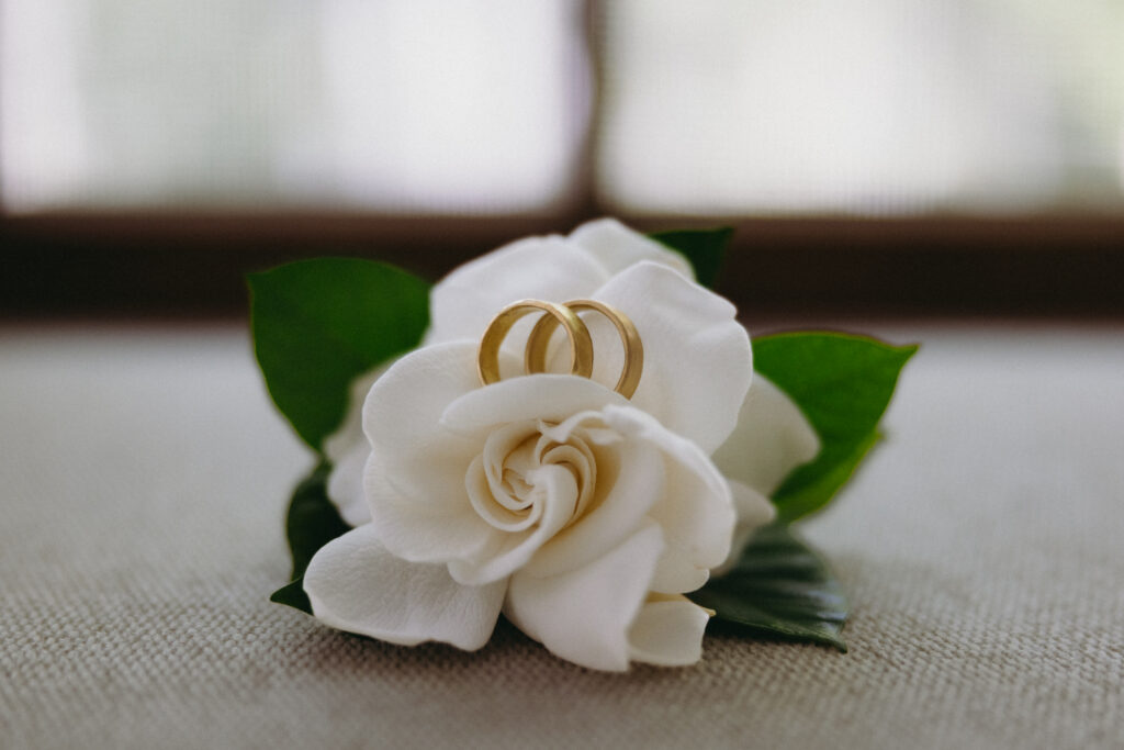 Wedding rings sitting on a rose 