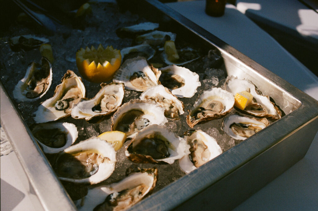 Oysters during cocktail hour at a New England farm wedding