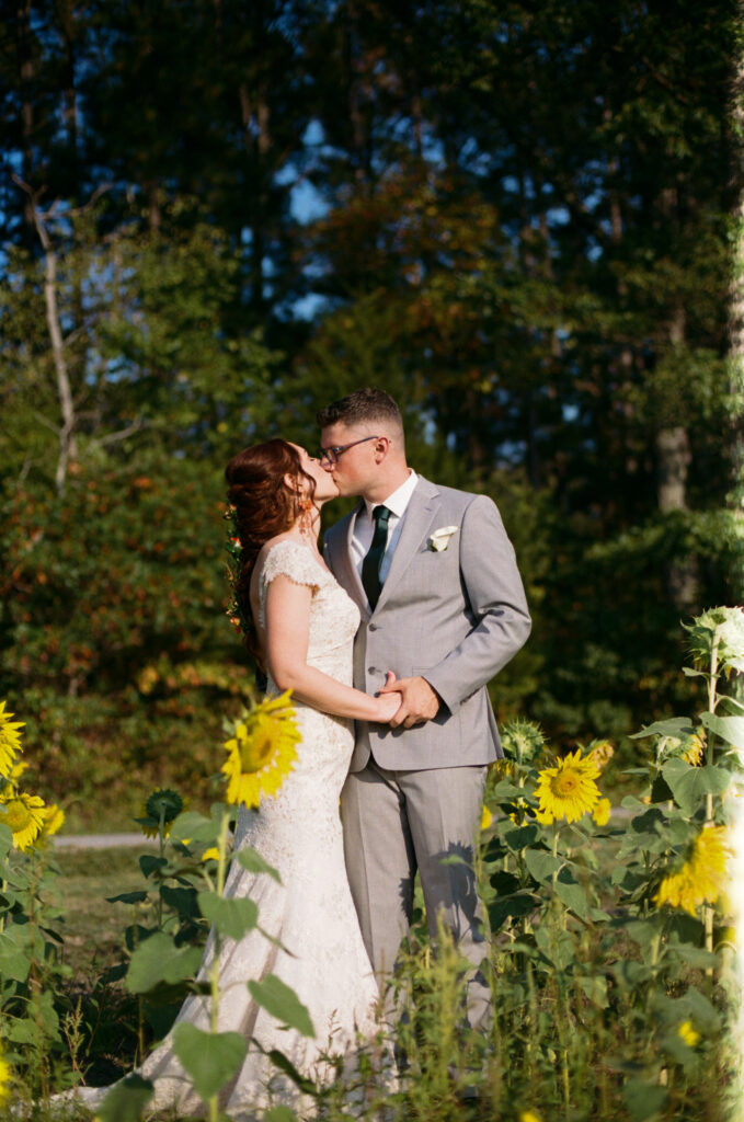 Bride and groom kissing in a sunflower field