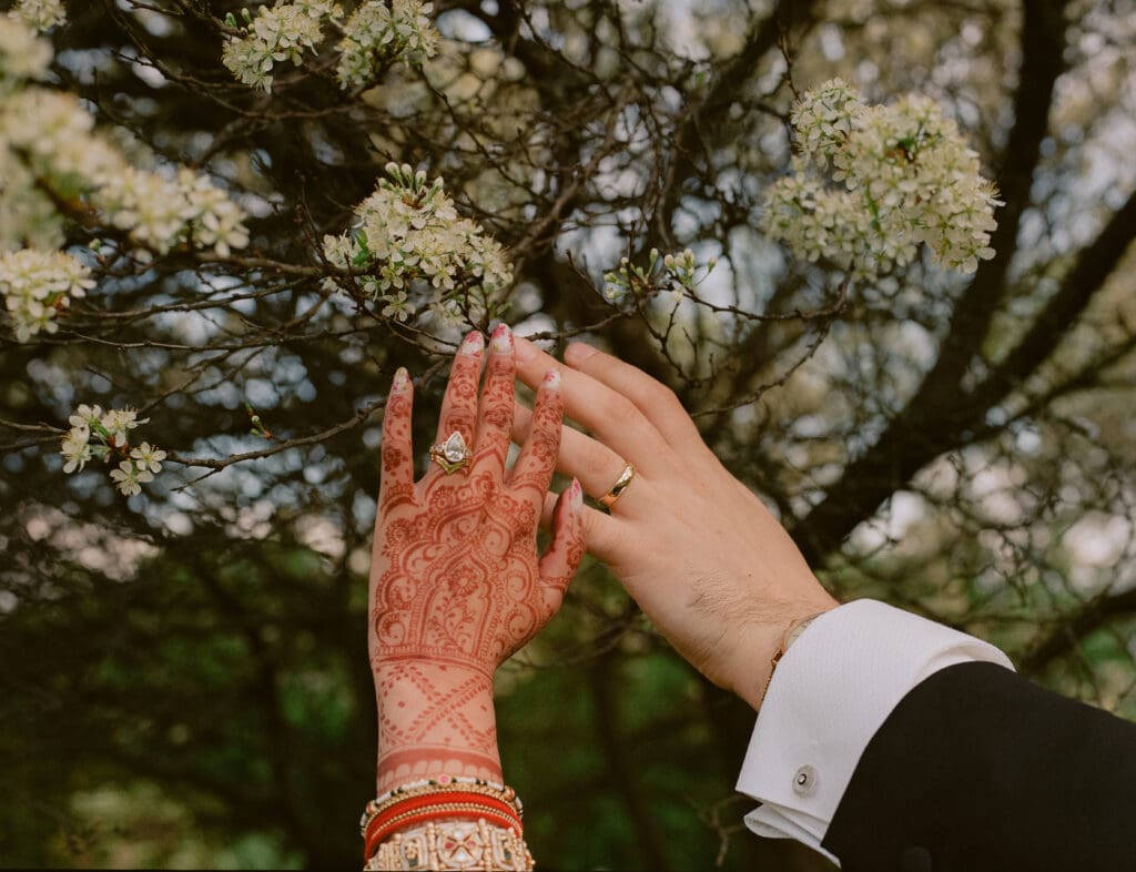Close up of the bride and groom's hands in front of a flowering tree