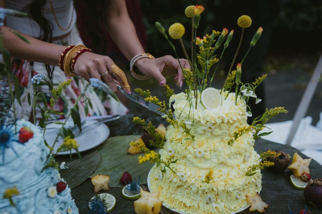 Bride cutting a slice of cake