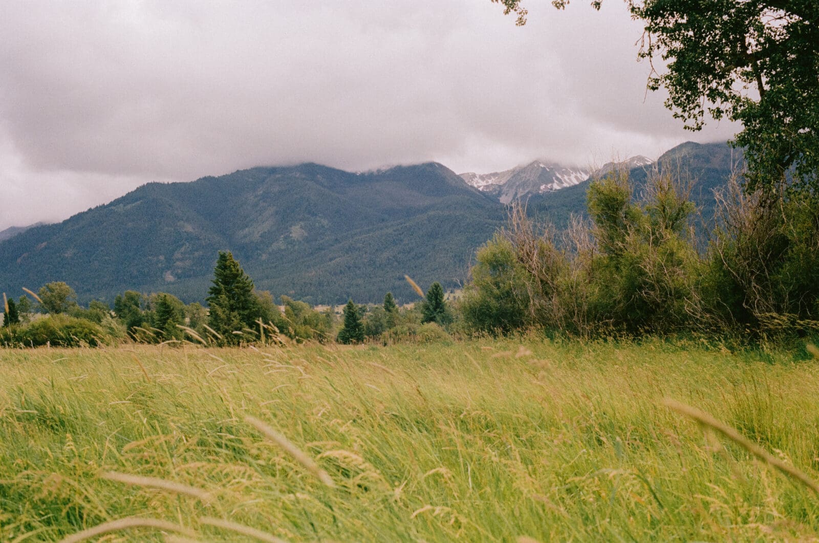 Wallowa mountains, shot on film